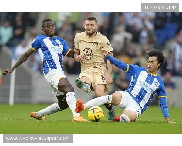 布莱顿宣布引入新型训练器材提升青训水平迈向新高峰 布莱顿宣布引入新型训练器材提升青训水平迈向新高峰